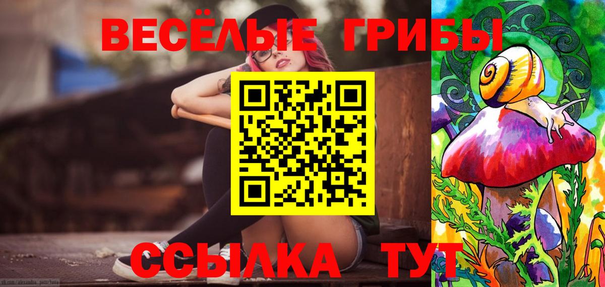 Сердобск  Галлюциногенные грибы Cubensis  Вход с VPN 